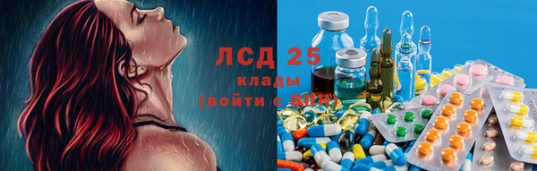 круглые Бородино