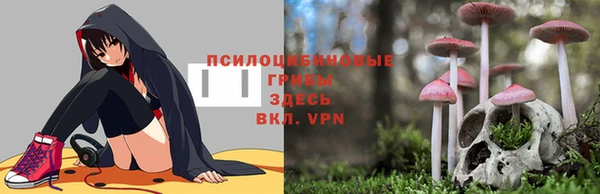 a pvp Бронницы