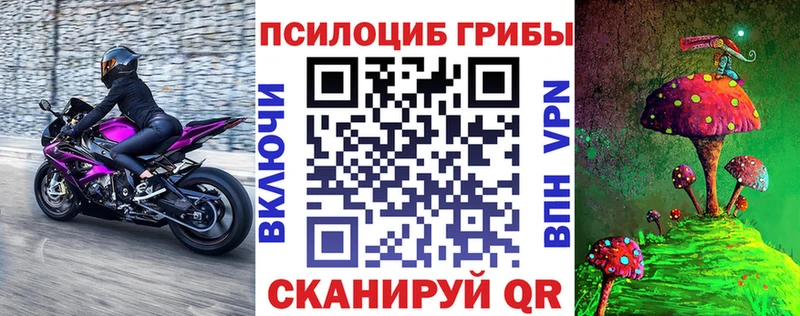 купить   Южноуральск  Галлюциногенные грибы Cubensis 